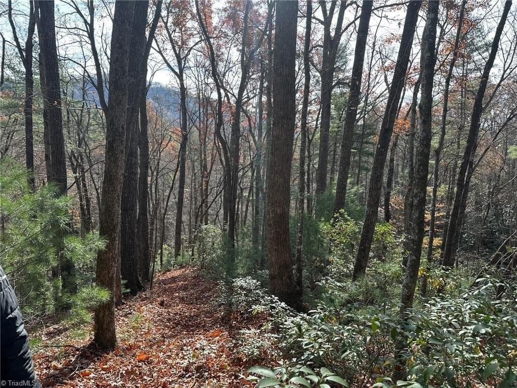 Unimproved Land at TBD1 Scout Road, Lenoir NC 28645, Lenoir, photo 6 of 34