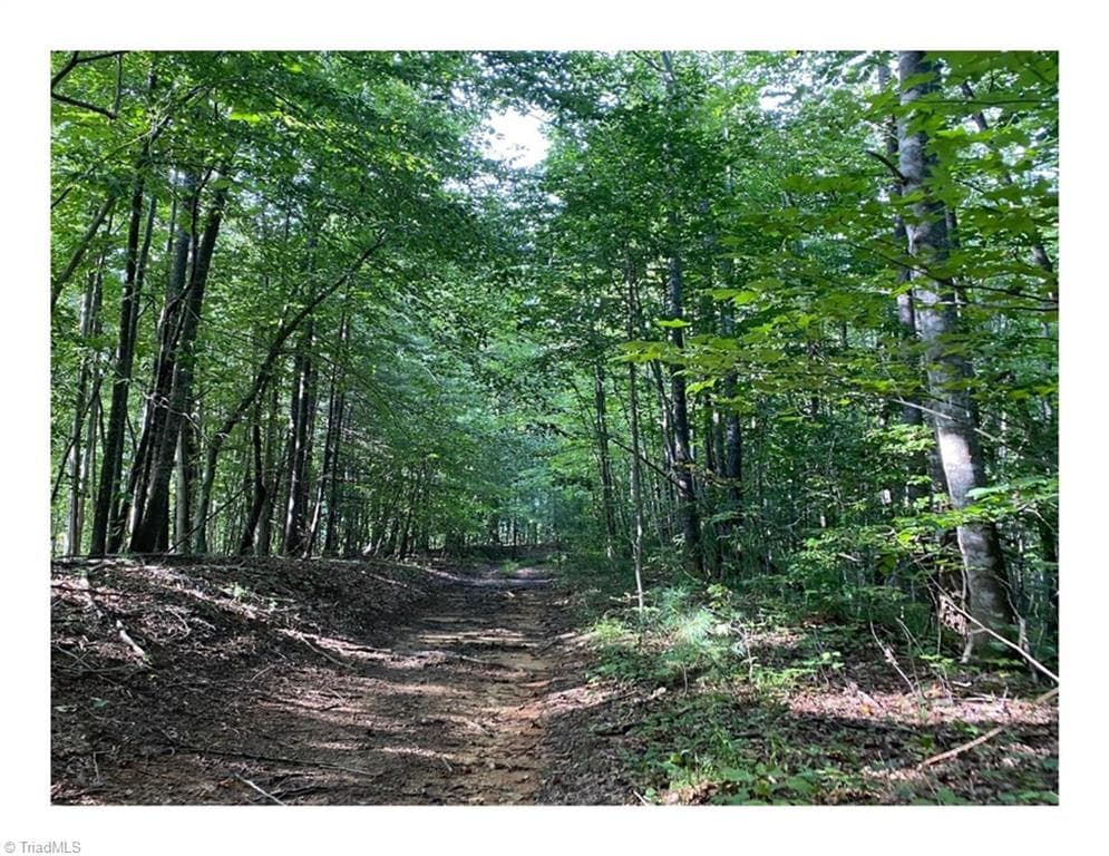 Unimproved Land at TBD1 Scout Road, Lenoir NC 28645, Lenoir, photo 13 of 34
