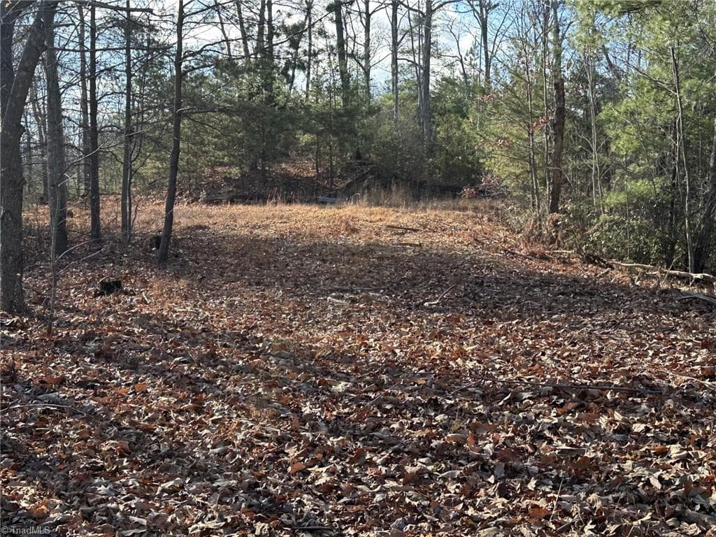 Unimproved Land at TBD1 Scout Road, Lenoir NC 28645, Lenoir, photo 17 of 34