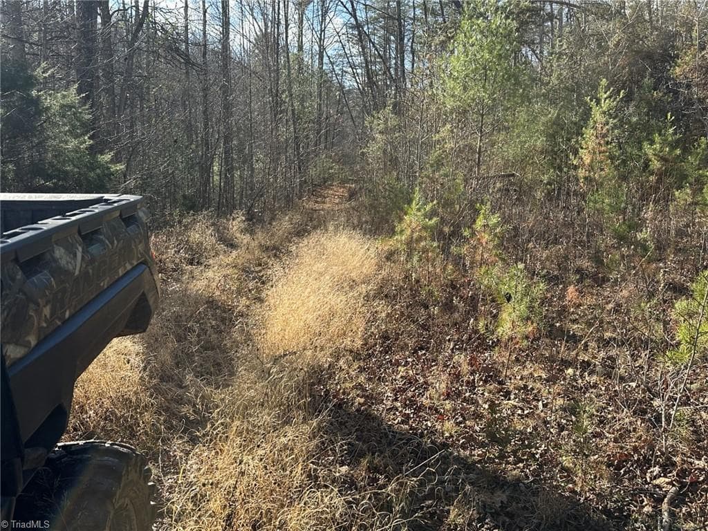 Unimproved Land at TBD1 Scout Road, Lenoir NC 28645, Lenoir, photo 16 of 34
