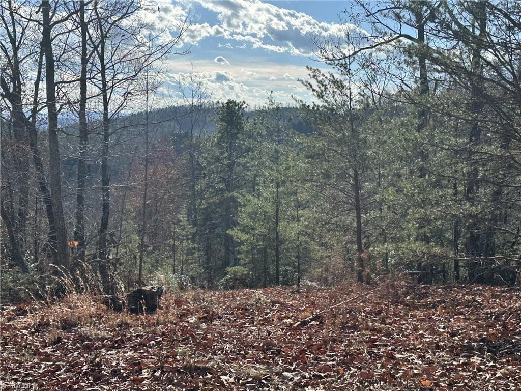 Unimproved Land at TBD1 Scout Road, Lenoir NC 28645, Lenoir, photo 7 of 34