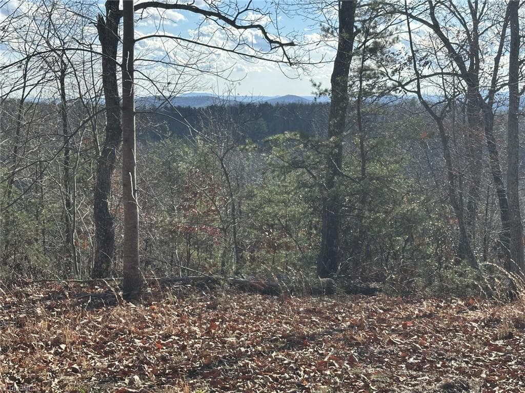 Unimproved Land at TBD1 Scout Road, Lenoir NC 28645, Lenoir, photo 9 of 34