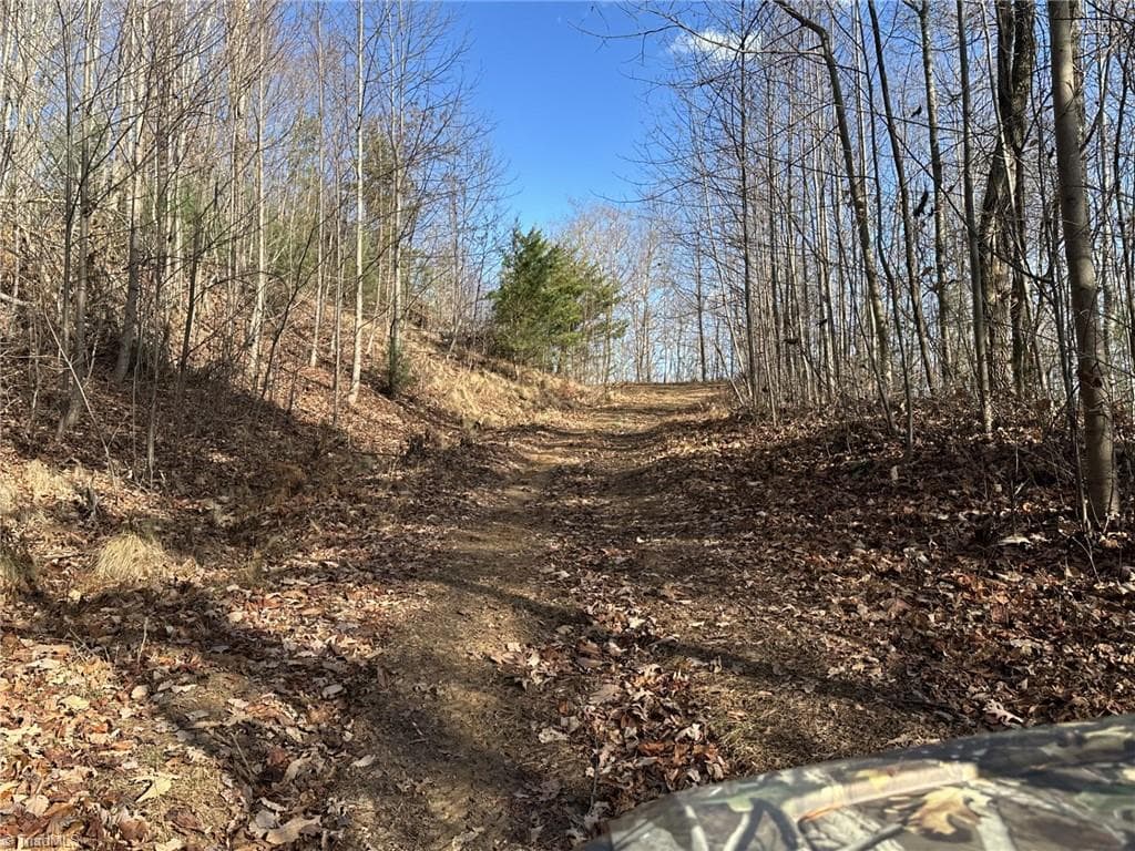 Unimproved Land at TBD1 Scout Road, Lenoir NC 28645, Lenoir, photo 24 of 34