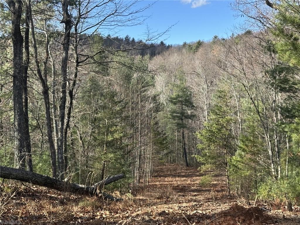 Unimproved Land at TBD1 Scout Road, Lenoir NC 28645, Lenoir, photo 10 of 34