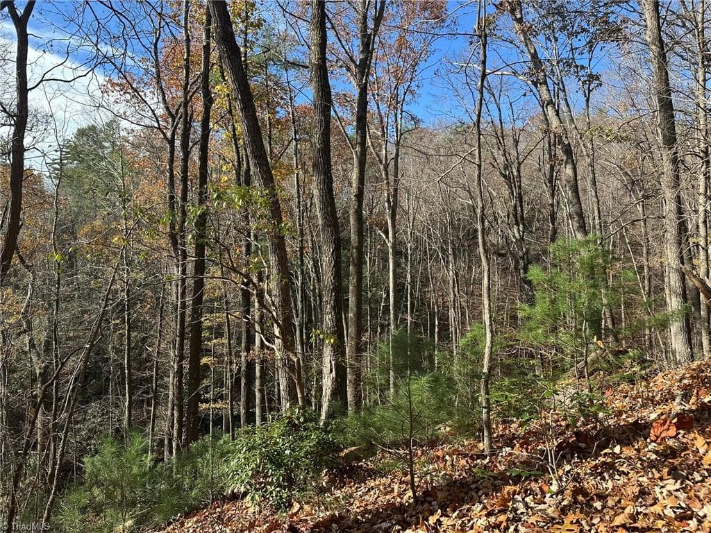 Unimproved Land at TBD1 Scout Road, Lenoir NC 28645, Lenoir, photo 14 of 34