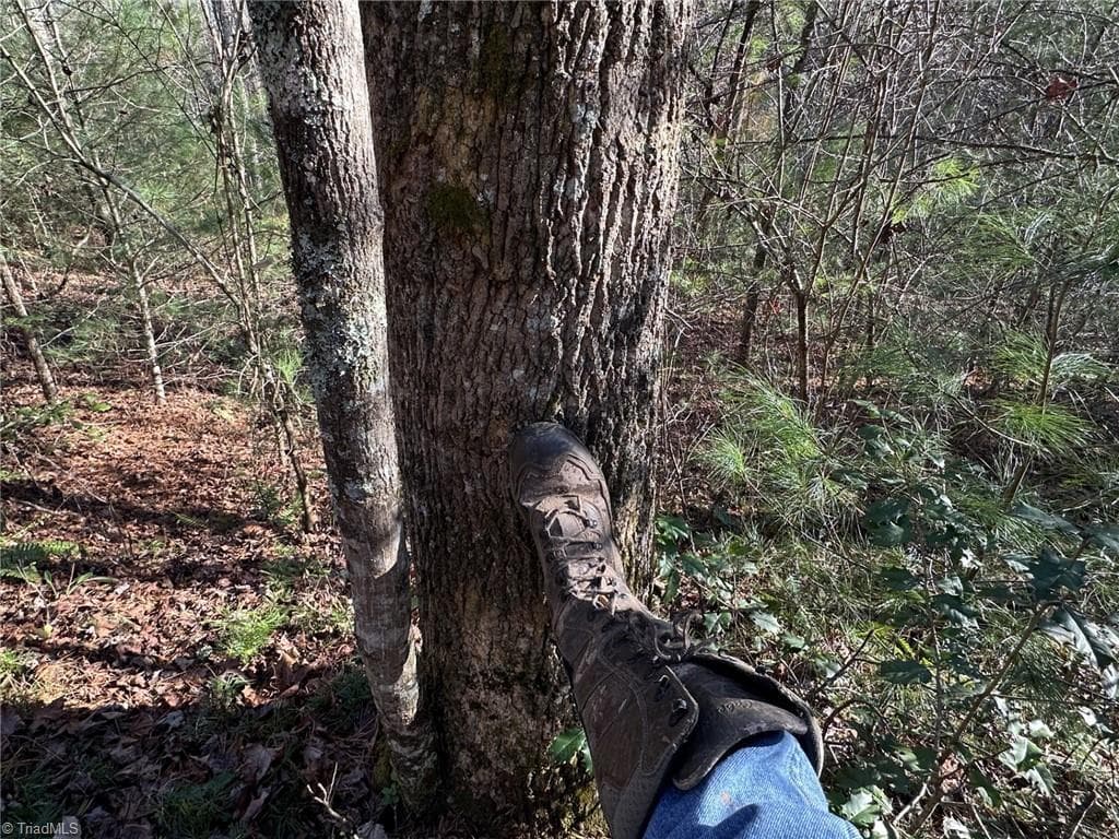 Unimproved Land at TBD1 Scout Road, Lenoir NC 28645, Lenoir, photo 18 of 34
