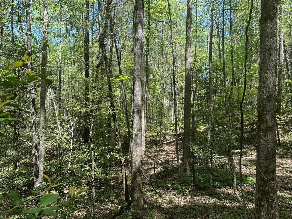Unimproved Land at TBD1 Scout Road, Lenoir NC 28645, Lenoir, photo 15 of 34