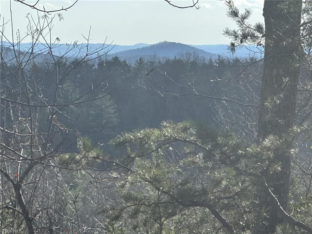 Unimproved Land at TBD1 Scout Road, Lenoir NC 28645, Lenoir, photo 11 of 34