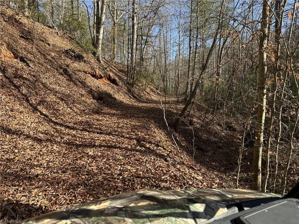 Unimproved Land at TBD1 Scout Road, Lenoir NC 28645, Lenoir, photo 19 of 34