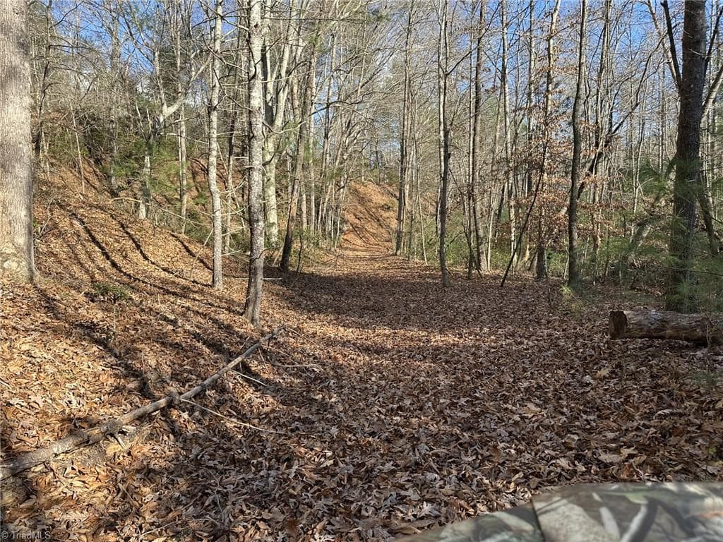 Unimproved Land at TBD1 Scout Road, Lenoir NC 28645, Lenoir, photo 29 of 34