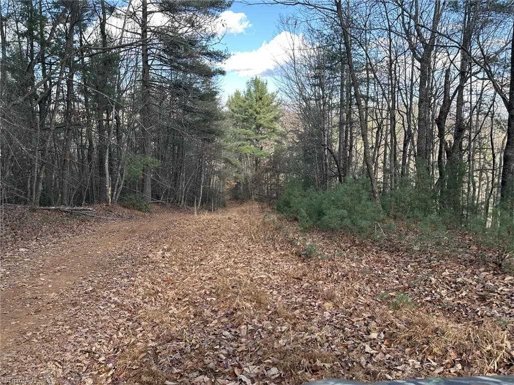 Unimproved Land at TBD1 Scout Road, Lenoir NC 28645, Lenoir, photo 25 of 34