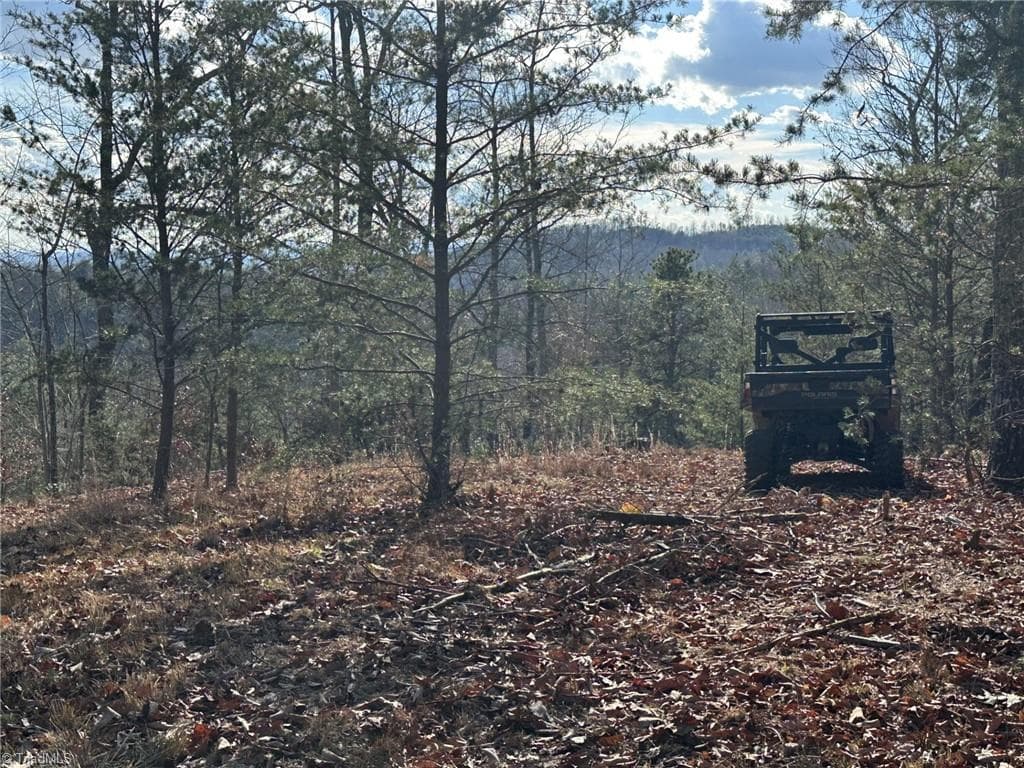 Unimproved Land at TBD1 Scout Road, Lenoir NC 28645, Lenoir, photo 21 of 34