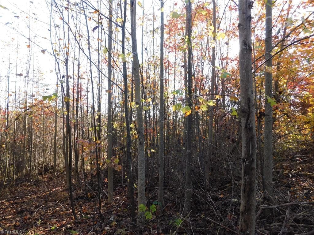 Unimproved Land at 00 Billings Hill Church Road, Traphill NC 28685, photo 23 of 38