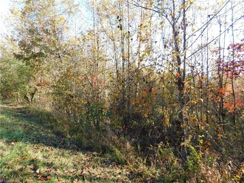 Unimproved Land at 00 Billings Hill Church Road, Traphill NC 28685, photo 27 of 38