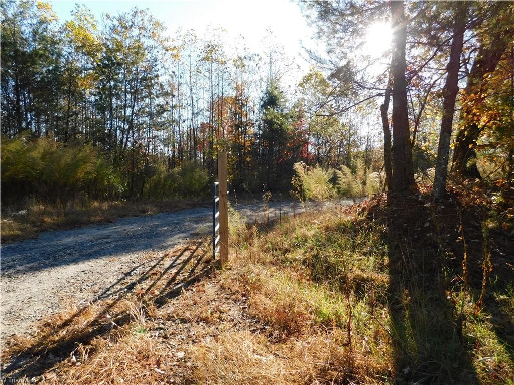Unimproved Land at 00 Billings Hill Church Road, Traphill NC 28685, photo 2 of 38