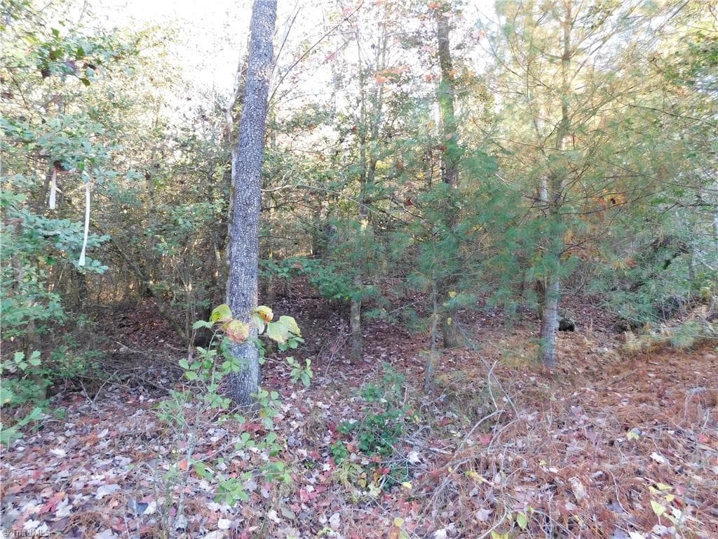 Unimproved Land at 00 Billings Hill Church Road, Traphill NC 28685, photo 6 of 38