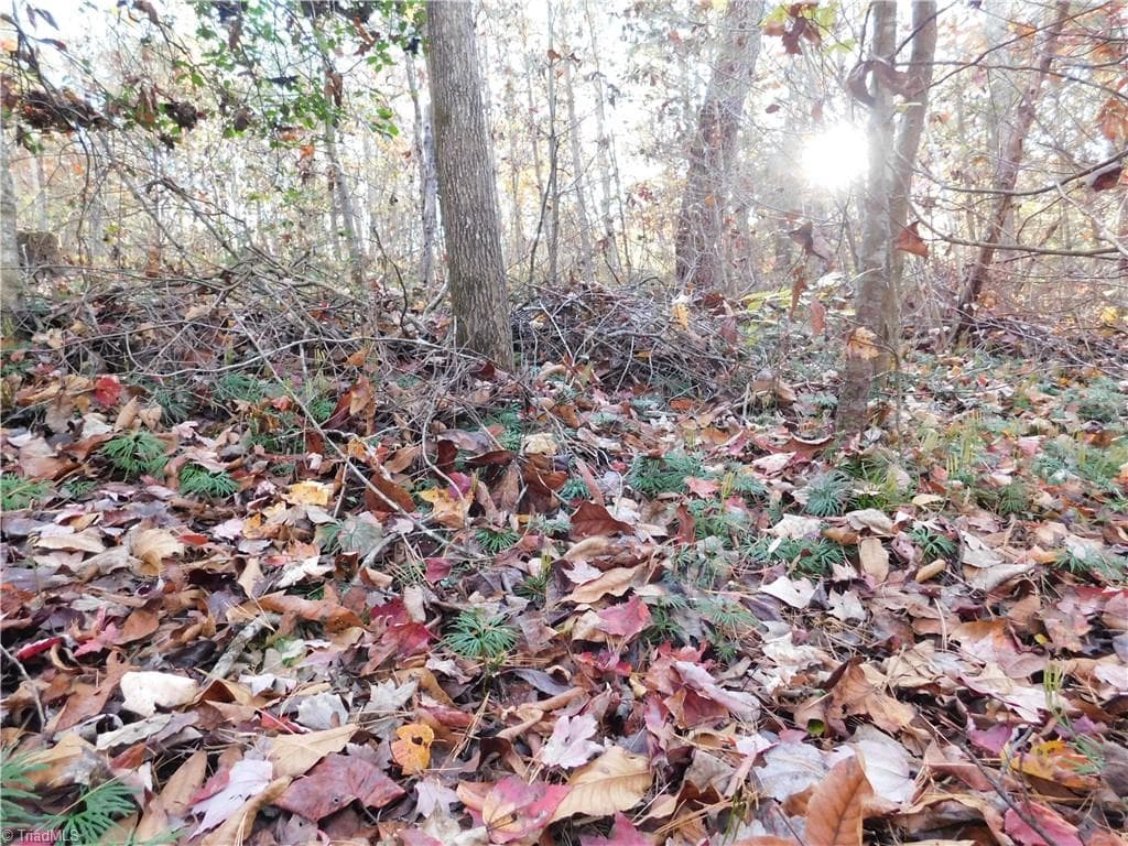 Unimproved Land at 00 Billings Hill Church Road, Traphill NC 28685, photo 17 of 38