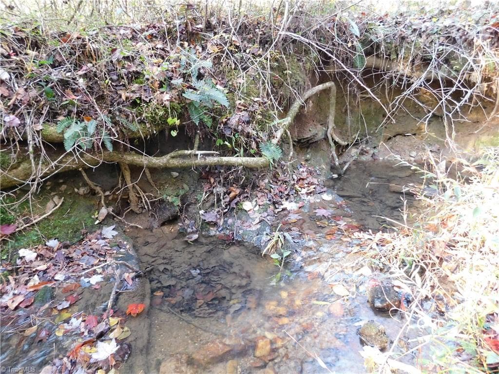 Unimproved Land at 00 Billings Hill Church Road, Traphill NC 28685, photo 16 of 38