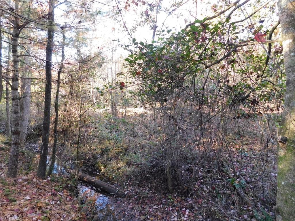Unimproved Land at 00 Billings Hill Church Road, Traphill NC 28685, photo 12 of 38