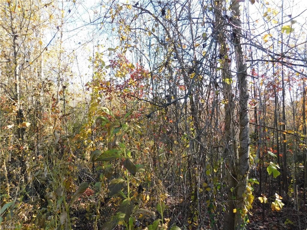 Unimproved Land at 00 Billings Hill Church Road, Traphill NC 28685, photo 26 of 38