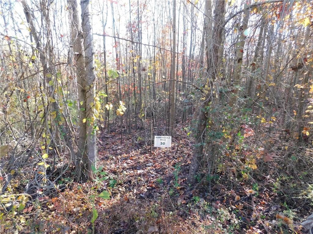 Unimproved Land at 00 Billings Hill Church Road, Traphill NC 28685, photo 5 of 38