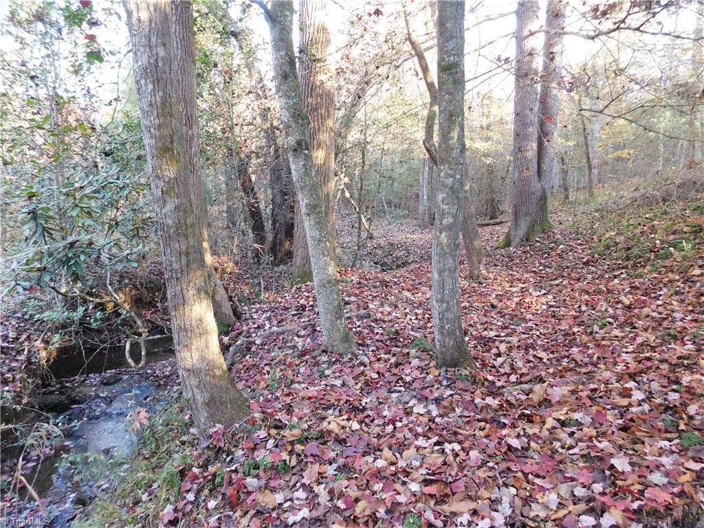 Unimproved Land at 00 Billings Hill Church Road, Traphill NC 28685, photo 10 of 38