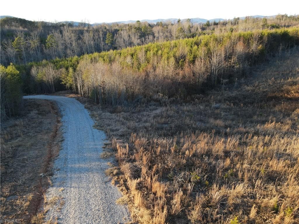 Unimproved Land at 00 Billings Hill Church Road, Traphill NC 28685, photo 33 of 38