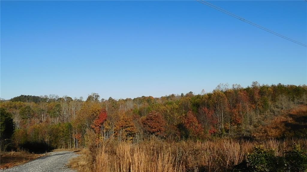 Unimproved Land at 00 Billings Hill Church Road, Traphill NC 28685, photo 14 of 38