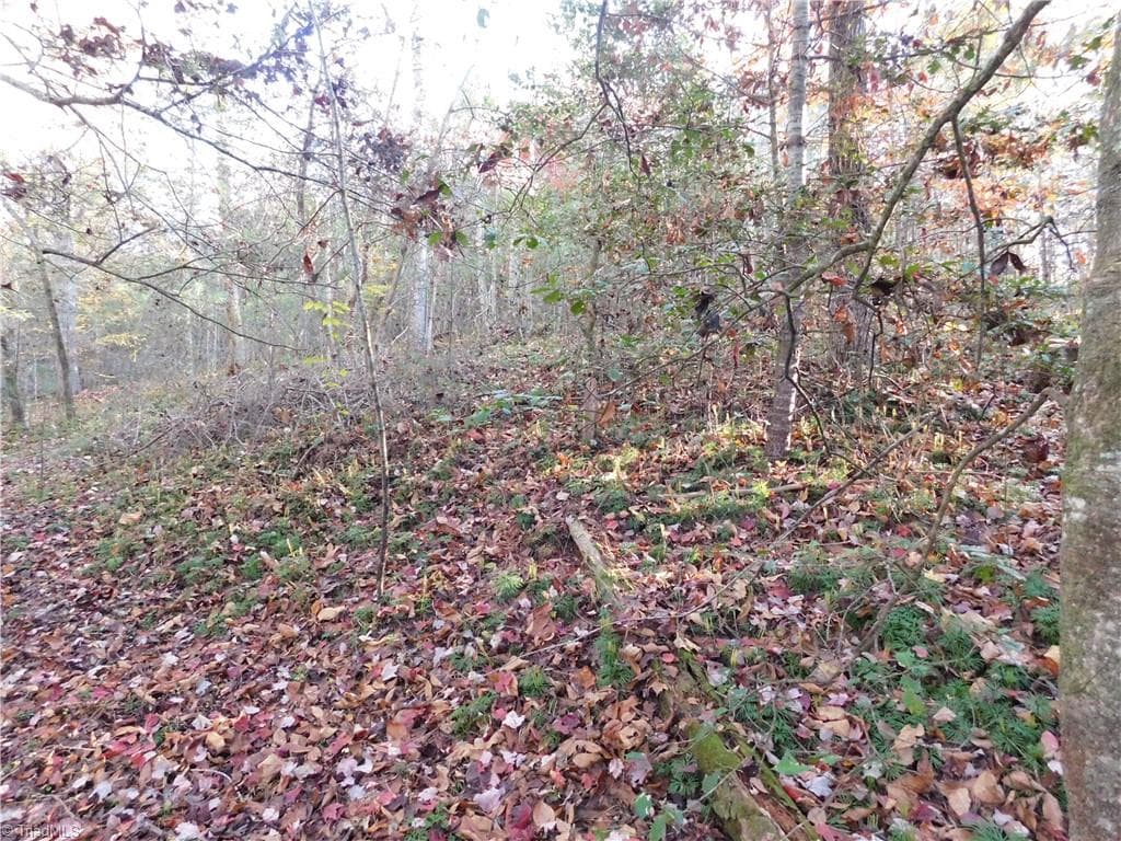 Unimproved Land at 00 Billings Hill Church Road, Traphill NC 28685, photo 18 of 38