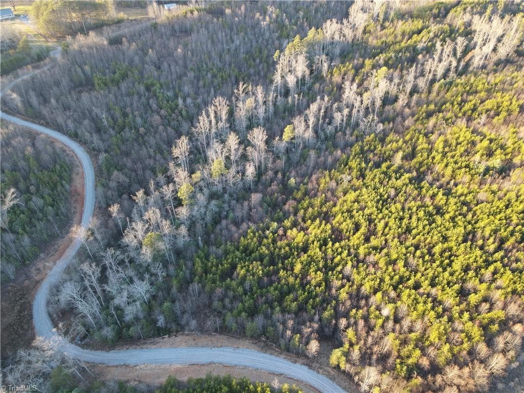 Unimproved Land at 00 Billings Hill Church Road, Traphill NC 28685, photo 37 of 38