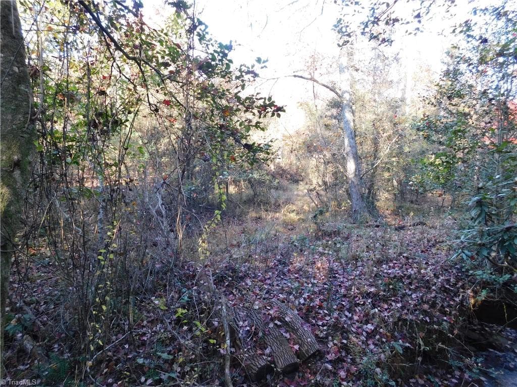 Unimproved Land at 00 Billings Hill Church Road, Traphill NC 28685, photo 11 of 38