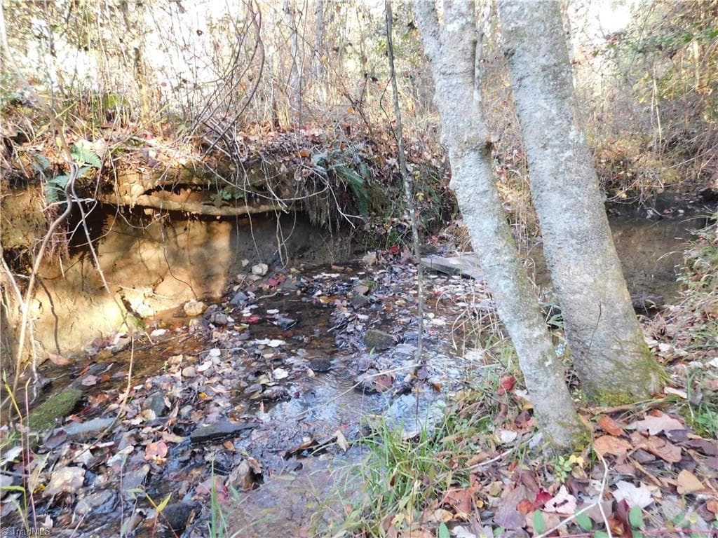 Unimproved Land at 00 Billings Hill Church Road, Traphill NC 28685, photo 19 of 38