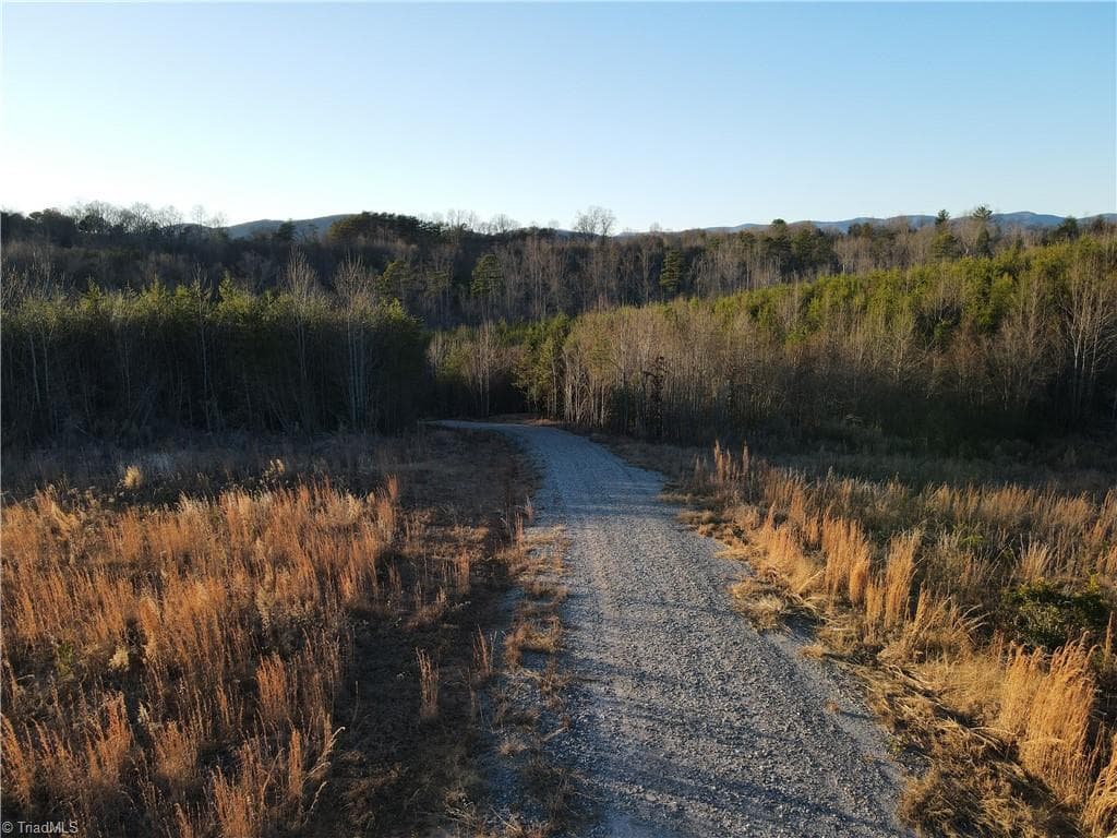 Unimproved Land at 00 Billings Hill Church Road, Traphill NC 28685, photo 31 of 38