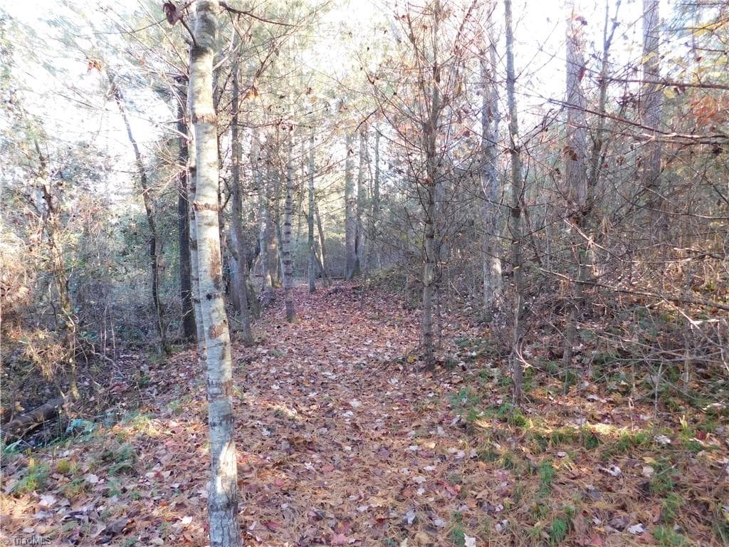 Unimproved Land at 00 Billings Hill Church Road, Traphill NC 28685, photo 8 of 38