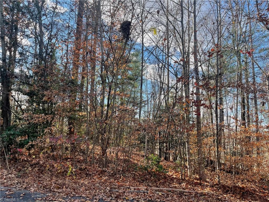 Lot 4 Longview Drive, Wilkesboro NC 28697
