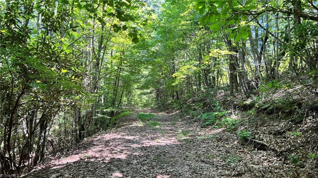 TBD2 Barlowe Place, Lenoir NC 28645