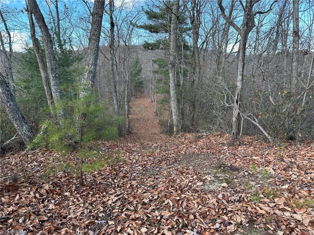 Unimproved Land at TBD2 Scout Road, Lenoir NC 28645, Lenoir, photo 23 of 38