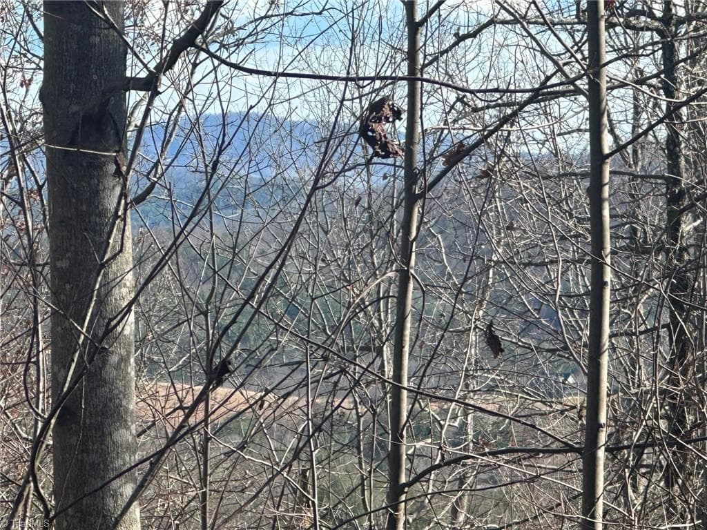 Unimproved Land at TBD2 Scout Road, Lenoir NC 28645, Lenoir, photo 13 of 38