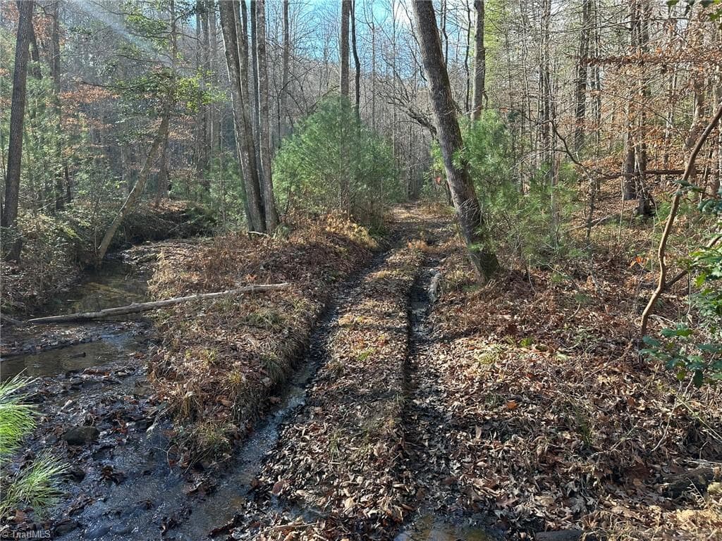 Unimproved Land at TBD2 Scout Road, Lenoir NC 28645, Lenoir, photo 26 of 38