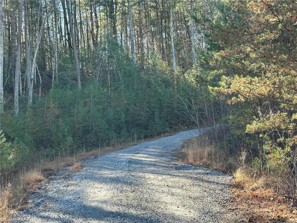 Unimproved Land at TBD2 Scout Road, Lenoir NC 28645, Lenoir, photo 7 of 38