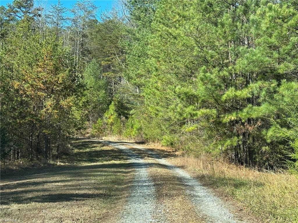 Unimproved Land at TBD2 Scout Road, Lenoir NC 28645, Lenoir, photo 5 of 38