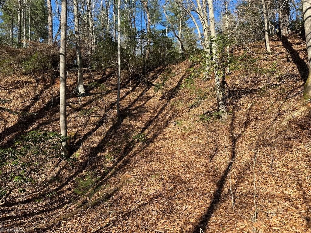 Unimproved Land at TBD2 Scout Road, Lenoir NC 28645, Lenoir, photo 34 of 38