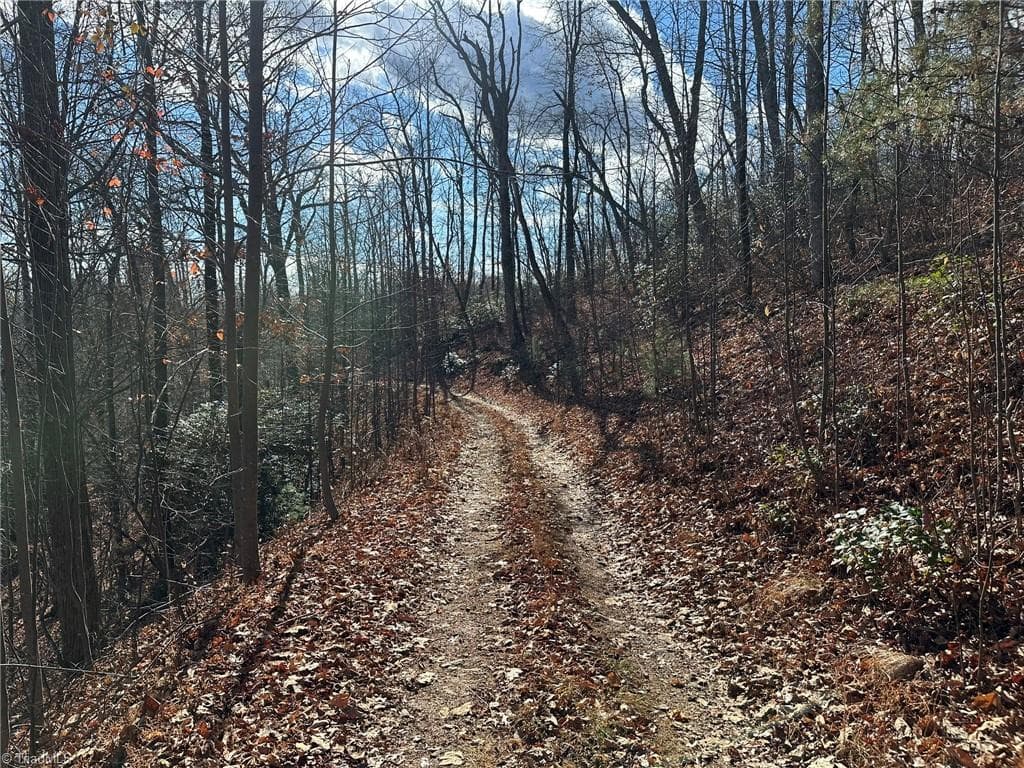 Unimproved Land at TBD2 Scout Road, Lenoir NC 28645, Lenoir, photo 14 of 38