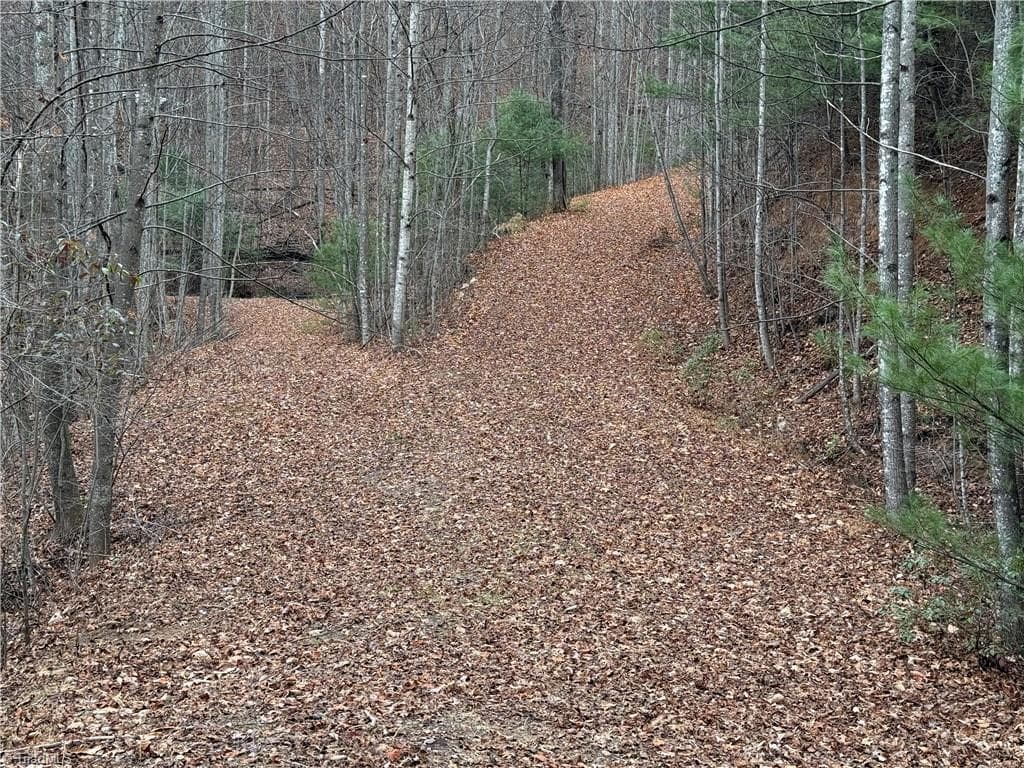 Single Family Residence at Lot 218 Casey Mountain Road, Purlear NC 28665, Purlear, photo 23 of 44