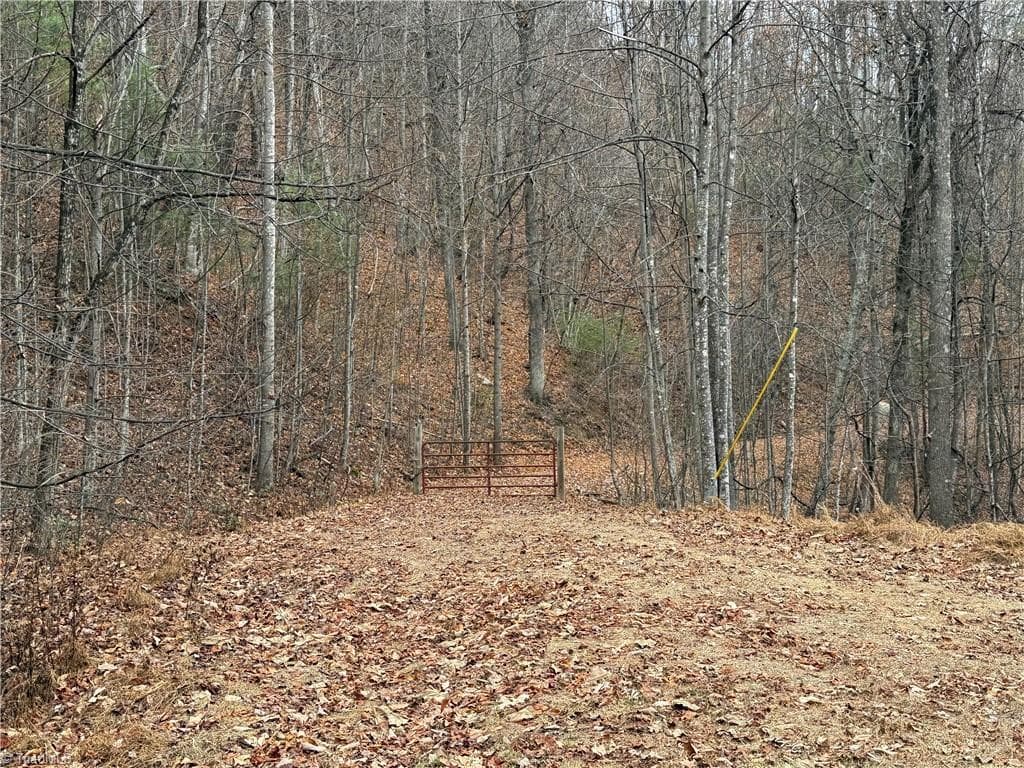 Single Family Residence at Lot 218 Casey Mountain Road, Purlear NC 28665, Purlear, photo 6 of 44