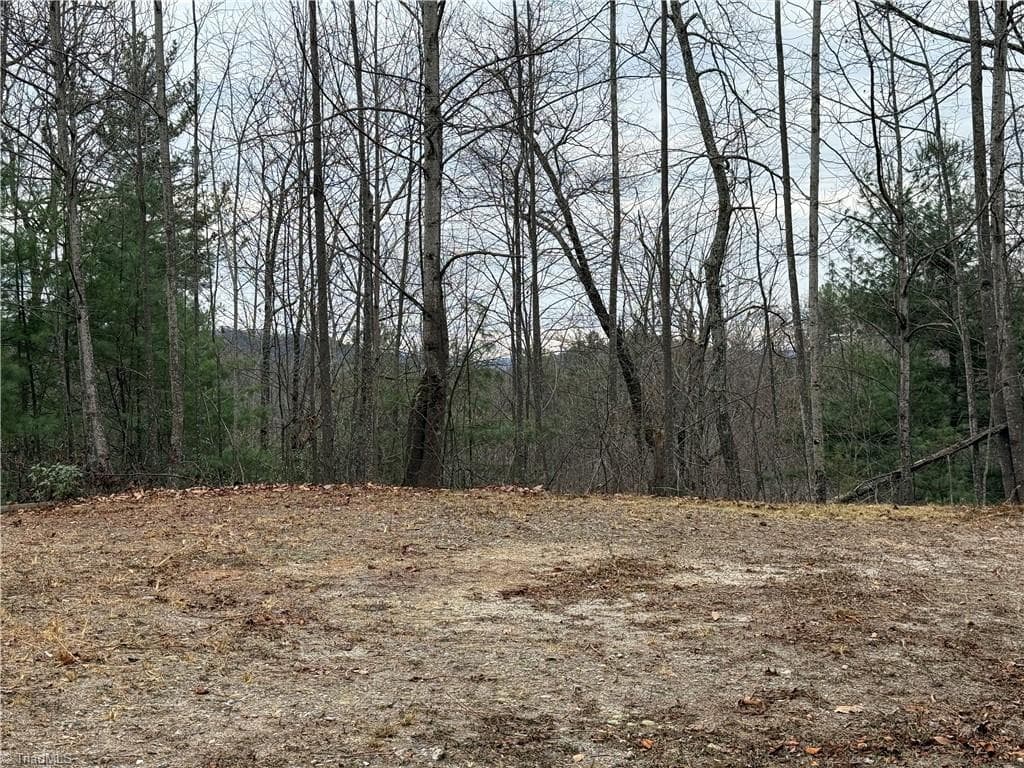 Single Family Residence at Lot 218 Casey Mountain Road, Purlear NC 28665, Purlear, photo 13 of 44