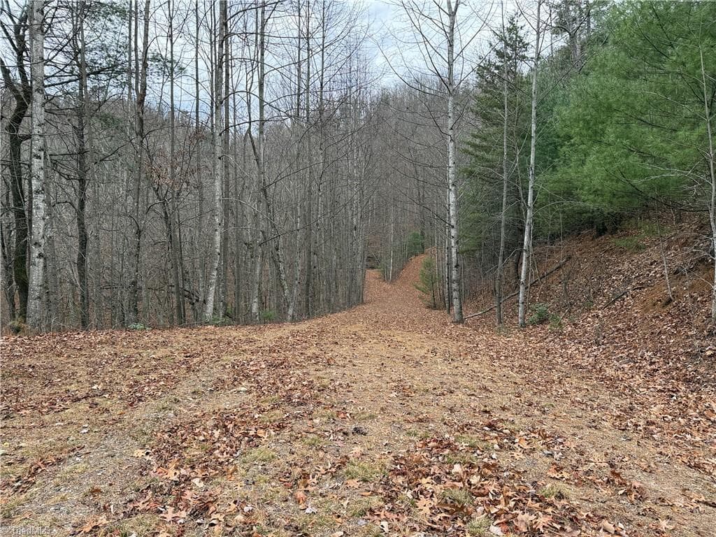 Single Family Residence at Lot 218 Casey Mountain Road, Purlear NC 28665, Purlear, photo 22 of 44