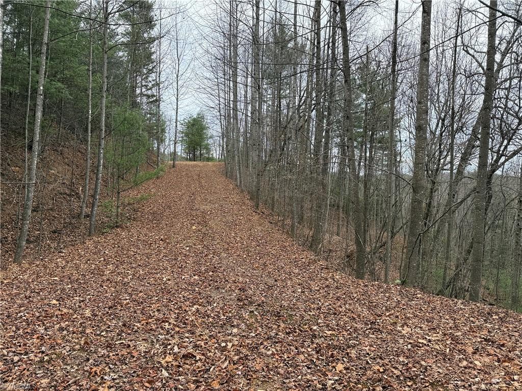 Single Family Residence at Lot 218 Casey Mountain Road, Purlear NC 28665, Purlear, photo 20 of 44
