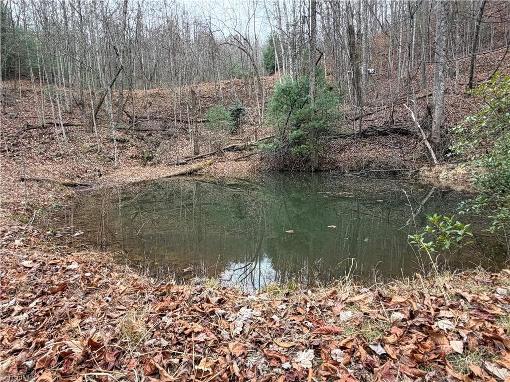 Single Family Residence at Lot 218 Casey Mountain Road, Purlear NC 28665, Purlear, photo 24 of 44