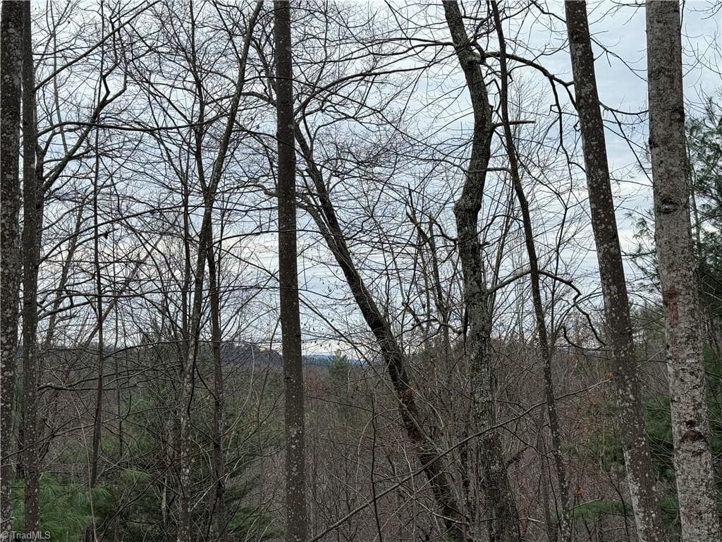 Single Family Residence at Lot 218 Casey Mountain Road, Purlear NC 28665, Purlear, photo 14 of 44